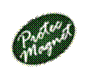 Protec Magnet