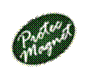 Protec Magnet